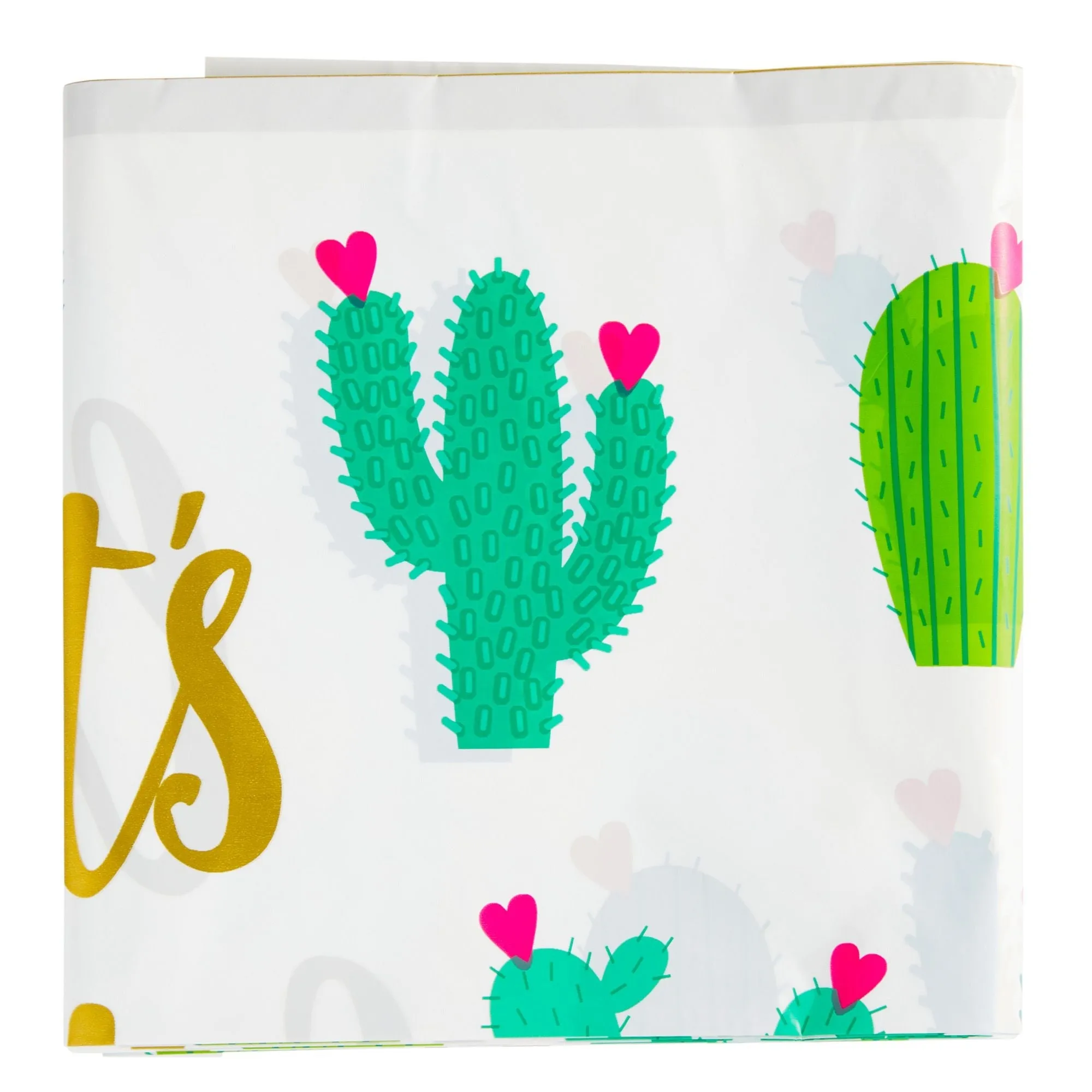 145 Pieces Let's Fiesta Party Supplies, Cactus Plates, Napkins, Cups, Cutlery, Tablecloth for Birthday, Bachelorette Decorations (Serves 24)