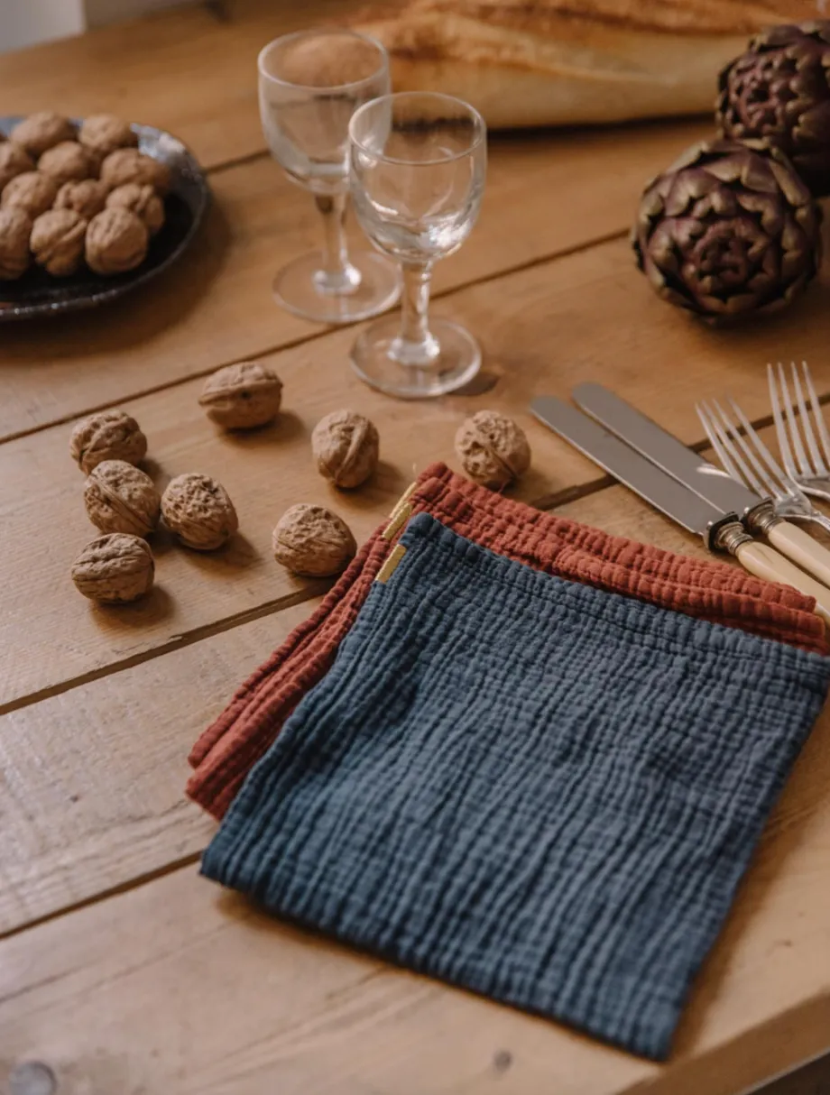 Napkin - set of 2