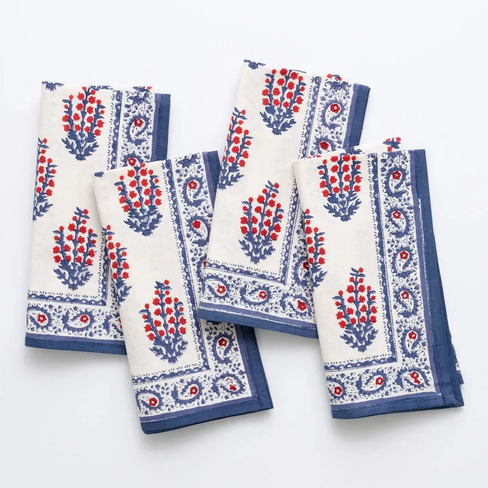 Sagar Red & Blue Collection