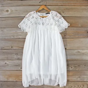 Starshower Lace Dress